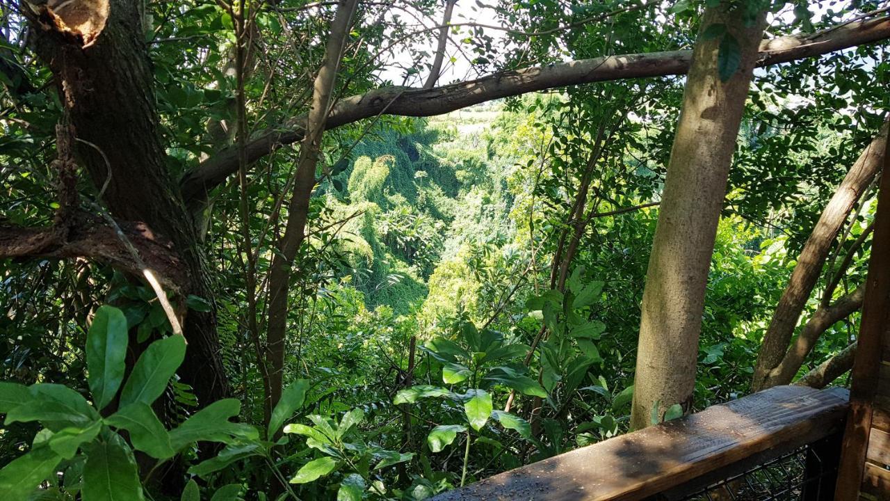 Le Lodge Origin Sainte-Suzanne Esterno foto